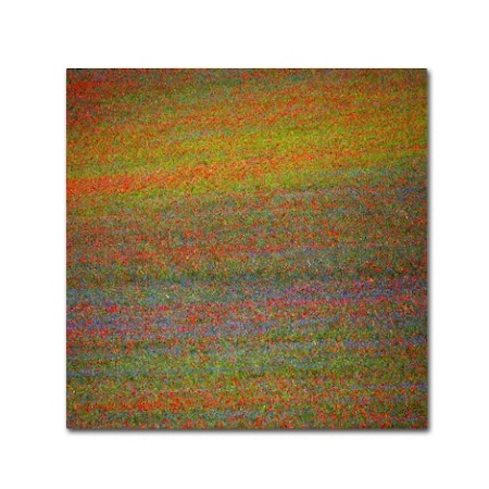 Massimo Della Latta 'Flower Field' Canvas Art,14x14